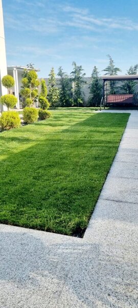 CT Garden - Servicii Peisagistica